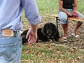 img 142